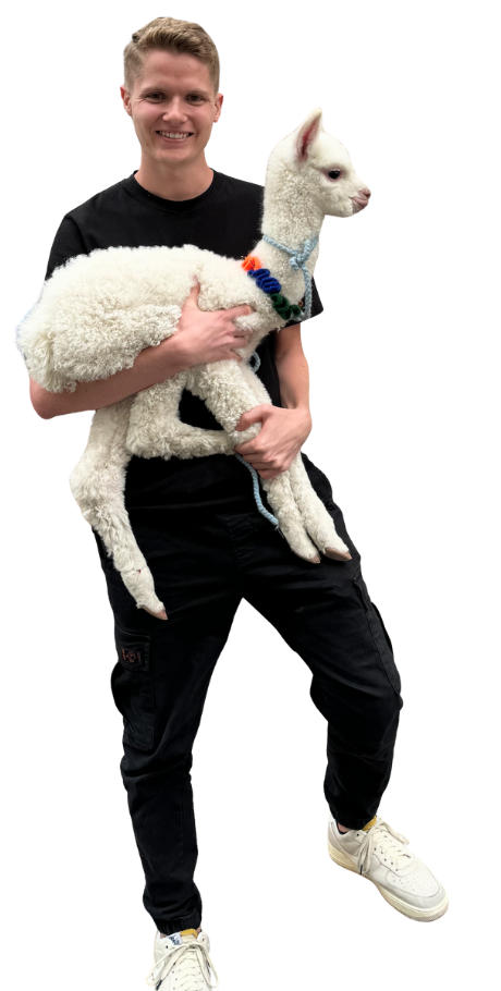 Sean Lundberg holding a young white alpaca